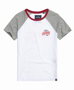 Superdry 54 Goods Raglan Női Pólók Szürke | ZVMUE1862